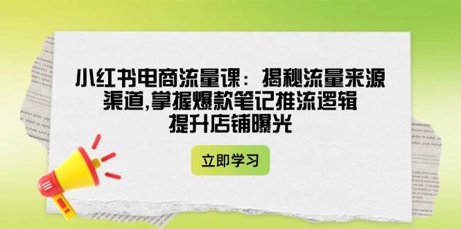 小红书电商流量课：揭秘流量来源渠道,掌握爆款笔记推流逻辑,提升店铺曝光-泱泱学习社