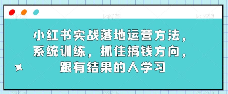 小红书实战落地运营方法，系统训练，抓住搞钱方向，跟有结果的人学习-泱泱学习社
