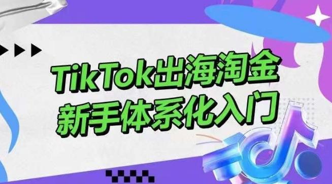 TikTok出海淘金，新手体系化入门，零基础快速入门，掌握短视频、直播带货等引流到变现的知识-泱泱学习社