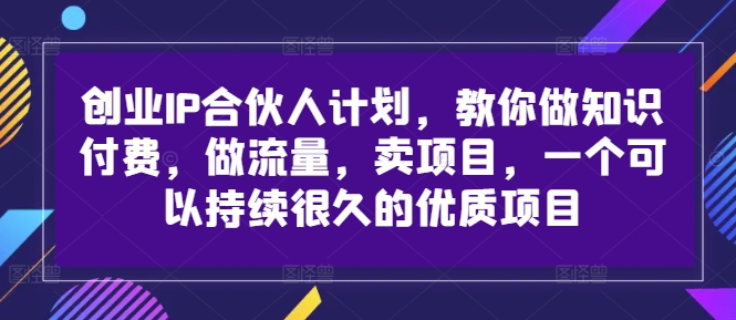 创业IP合伙人计划，教你做知识付费，做流量，卖项目，一个可以持续很久的优质项目-泱泱学习社