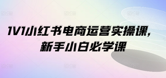 1V1小红书电商运营实操课，新手小白必学课-泱泱学习社