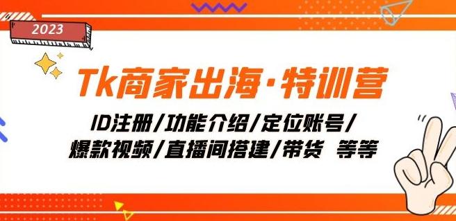 Tk商家出海·特训营：ID注册/功能介绍/定位账号/爆款视频/直播间搭建/带货-泱泱学习社