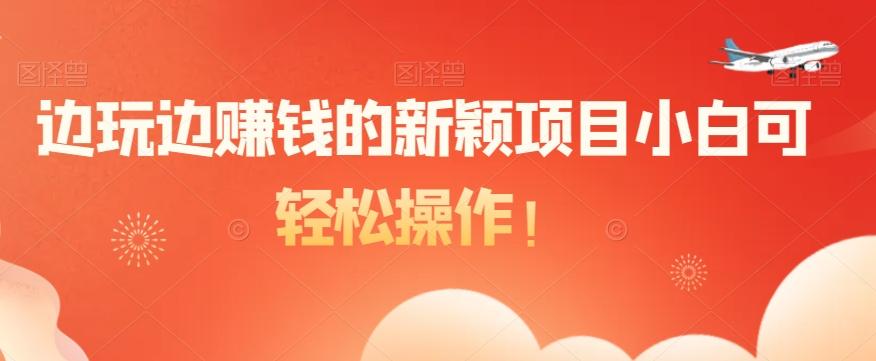 边玩边赚钱的新颖项目小白可轻松操作！-泱泱学习社