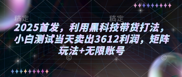 2025首发，利用黑科技带货打法，小白测试当天卖出3612利润，矩阵玩法+无限账号【揭秘】-泱泱学习社