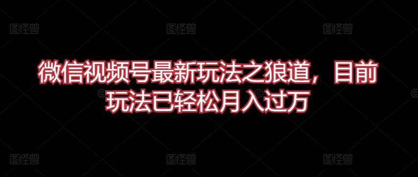 微信视频号最新玩法之狼道，目前玩法已轻松月入过万【揭秘】-泱泱学习社