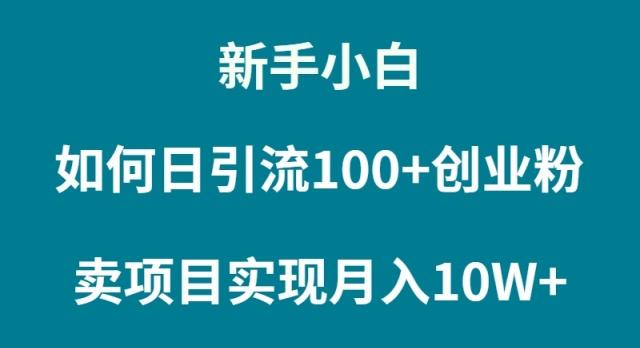 (9556期)新手小白如何通过卖项目实现月入10W+-泱泱学习社