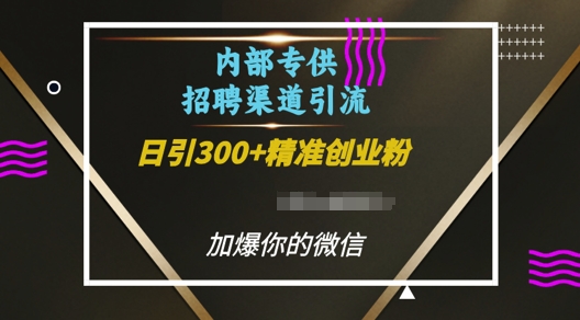 内部招聘渠道日引流300+创业粉，加爆你的微信【揭秘】-泱泱学习社
