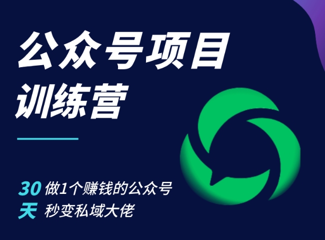 公众号项目训练营，30天做1个赚钱的公众号，秒变私域大佬-泱泱学习社