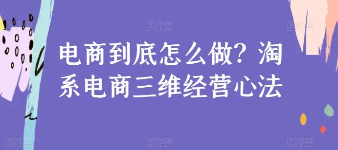 电商到底怎么做？淘系电商三维经营心法-泱泱学习社