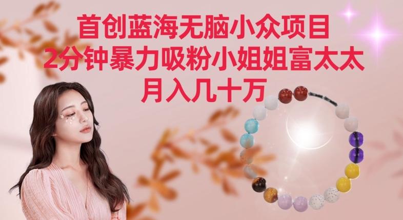 首创蓝海无脑小众项目，2分钟暴力吸粉小姐姐富太太，月入几十万【揭秘】-泱泱学习社