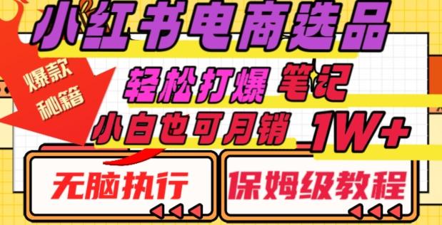 小红书电商爆款选品秘籍，帮你轻松打爆笔记，小白也可轻松月销10000+-泱泱学习社
