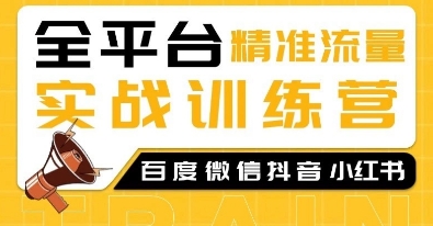 全平台精准流量实战训练营，百度微信抖音小红书SEO引流教程-泱泱学习社
