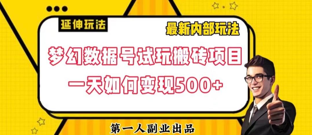 数据号回归玩法游戏试玩搬砖项目再创日入500+【揭秘】-泱泱学习社