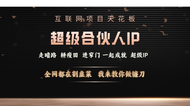 互联网项目天花板，超级合伙人IP，全网都在割韭菜，我来教你做镰刀【仅揭秘】-泱泱学习社