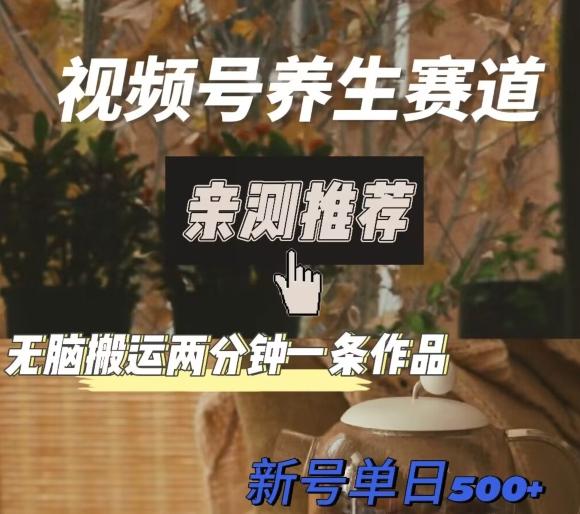 视频号养生赛道暴力掘金，无脑搬运，两分钟一条作品-新日单入500+-泱泱学习社