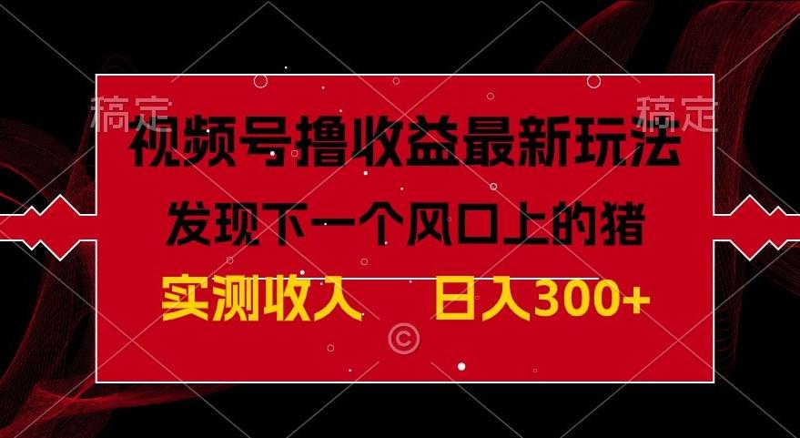 视频号分成计划最新玩法，单条作品几分钟制作完成,日入300+，过年前最后的冲刺-泱泱学习社