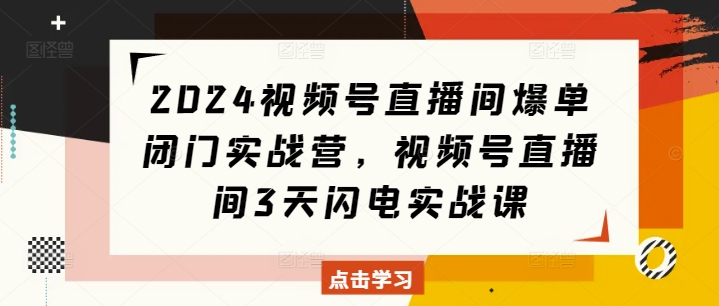 2024视频号直播间爆单闭门实战营，视频号直播间3天闪电实战课-泱泱学习社