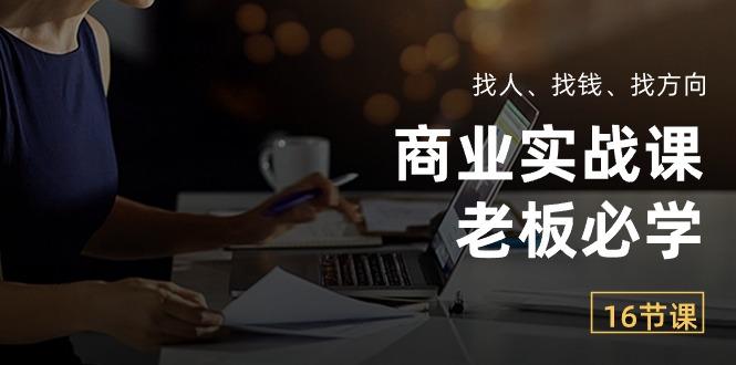 商业实战课【老板必学】：找人、找钱、找方向(16节课-泱泱学习社