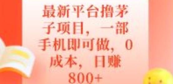 最新平台撸茅子项目，一部手机即可做，0成本，日赚800+-泱泱学习社