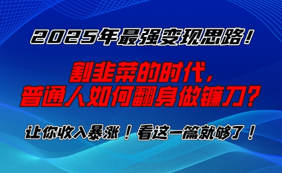 2025年最强变现思路，割韭菜的时代， 普通人如何翻身做镰刀？【揭秘】-泱泱学习社
