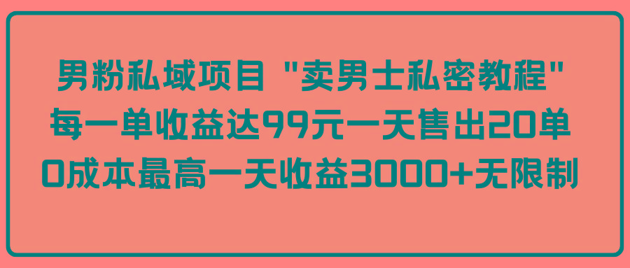 (9730期)男粉私域项目 “卖男士私密教程” 每一单收益达99元一天售出20单-泱泱学习社