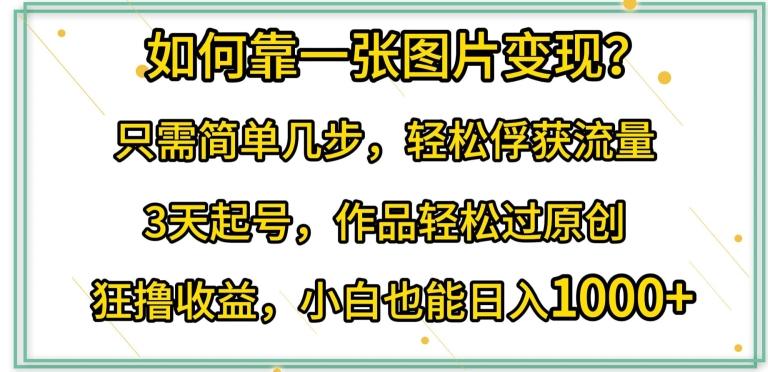 如何靠一张图片变现?只需简单几步，轻松俘获流量，3天起号，作品轻松过原创【揭秘】-泱泱学习社