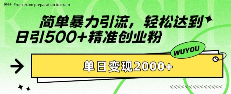 简单暴力引流，轻松达到日引500+精准创业粉，单日变现2k【揭秘】-泱泱学习社