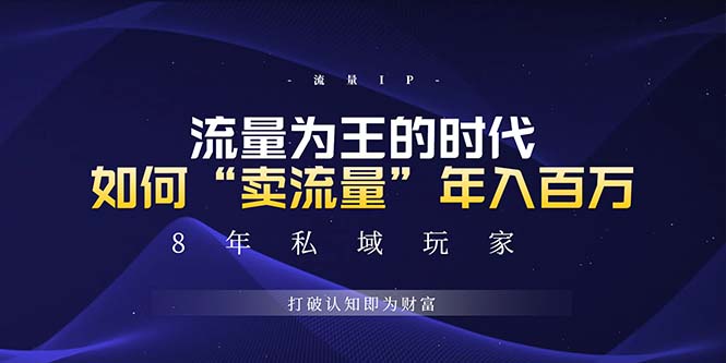 未来如何通过“卖流量”年入百万，跨越一切周期绝对蓝海项目-泱泱学习社
