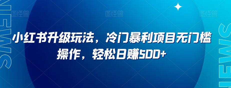 小红书升级玩法，冷门暴利项目无门槛操作，轻松日赚500+【揭秘】-泱泱学习社