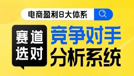 电商盈利8大体系·赛道选对，​竞争对手分析系统线上课-泱泱学习社