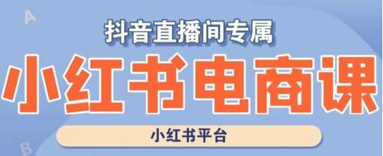 小红书电商高级运营课程，实操教学+案例分析-泱泱学习社