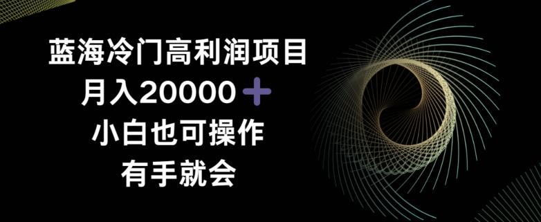 蓝海冷门高利润项目月入2000，小白也可操作有手就会-泱泱学习社