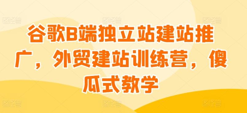 谷歌B端独立站建站推广，外贸建站训练营，傻瓜式教学-泱泱学习社