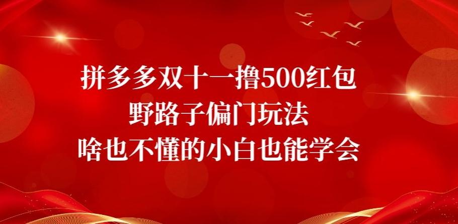 拼多多双十一撸500红包野路子偏门玩法，啥也不懂的小白也能学会【揭秘】-泱泱学习社