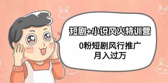 小说+短剧风火特训营，0粉短剧小说风行推广，实现月入过万-泱泱学习社