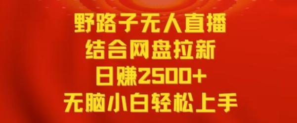 野路子无人直播结合网盘拉新，日赚2500+，小白无脑轻松上手【揭秘】-泱泱学习社